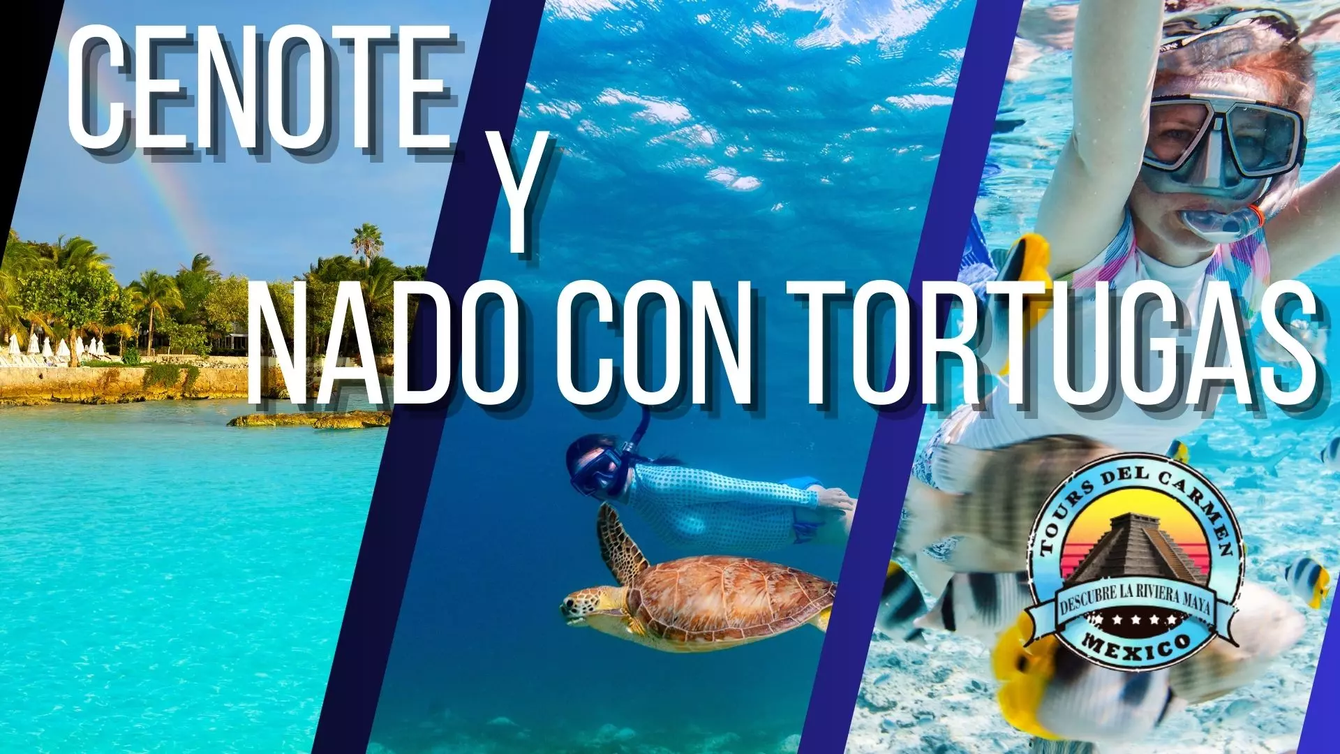 Tour Cenote y Nado con tortugas / Tours en Playa del Carmen