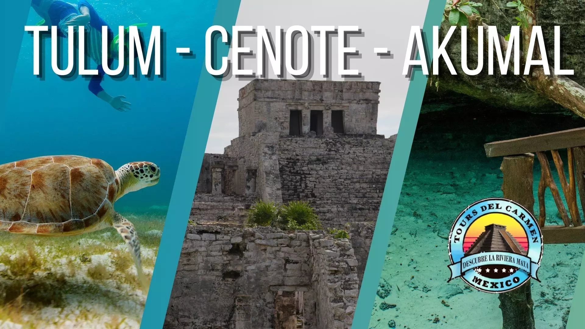 Tulum-Cenote-Akumal / Tours en Playa del Carmen