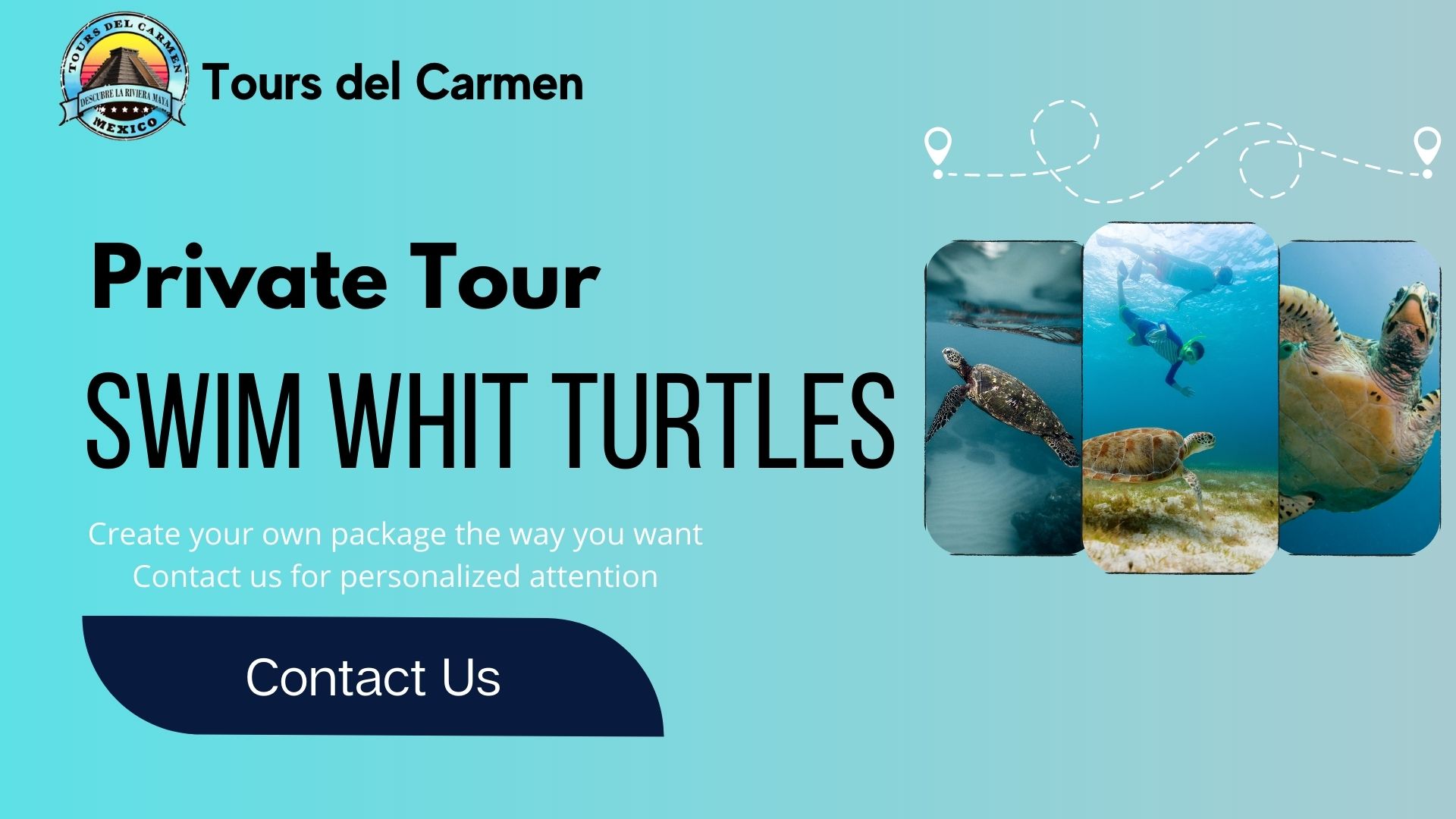 Swim Whit Turtles Private Tour